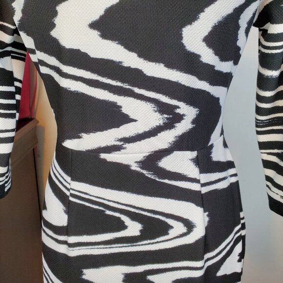 Cato Woman's 3/4 Sleeve V-Neck Zebra Print Swirled Striped Sheath Dress Size S - Picture 7 of 10